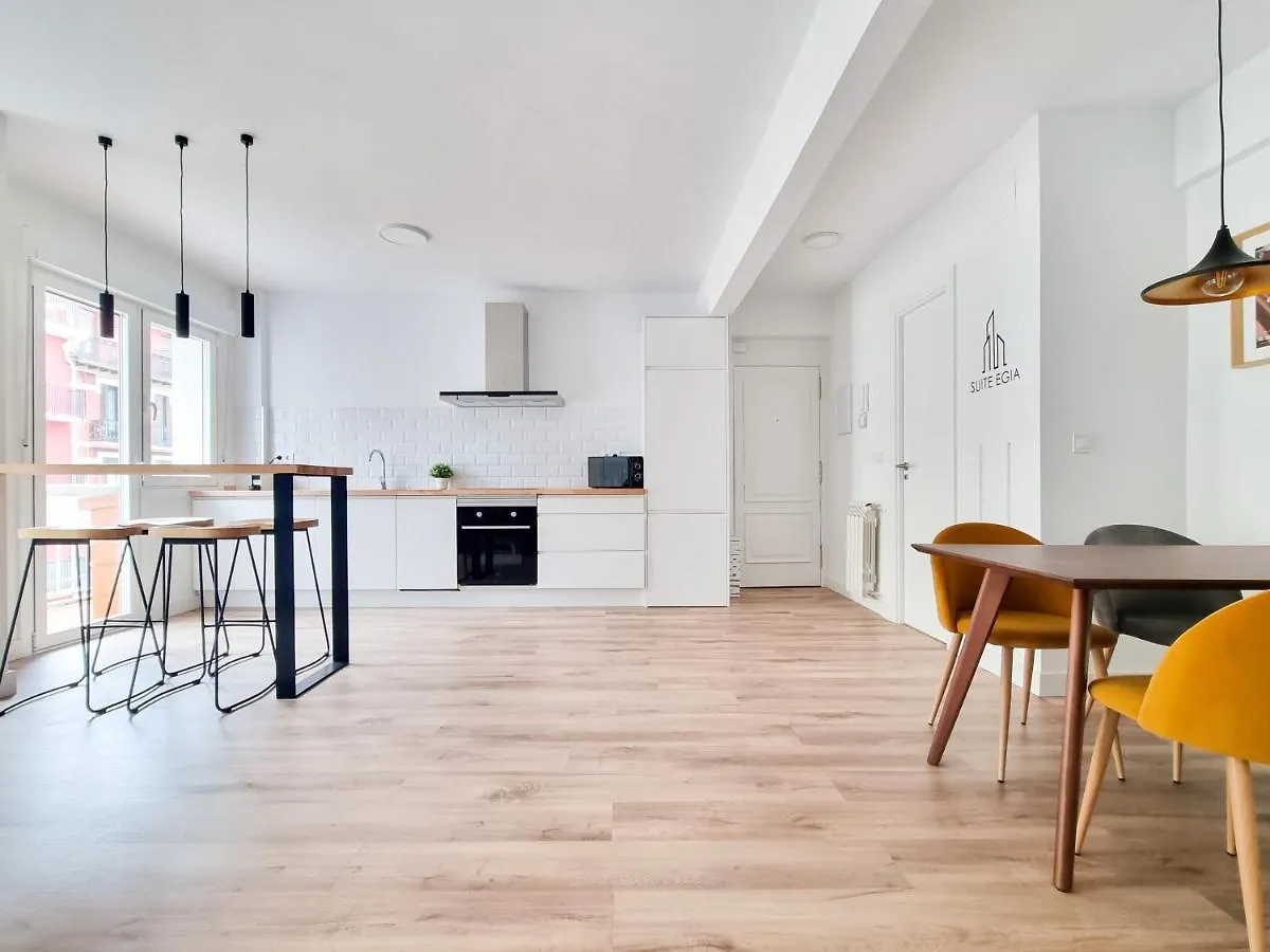 Suite Egia Apartment San Sebastian Donostia