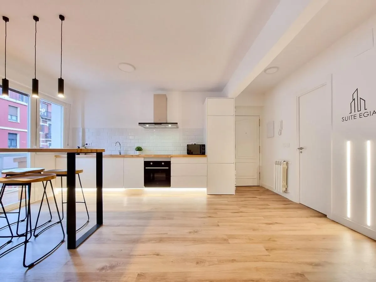 Suite Egia Apartment San Sebastian Donostia 0*,