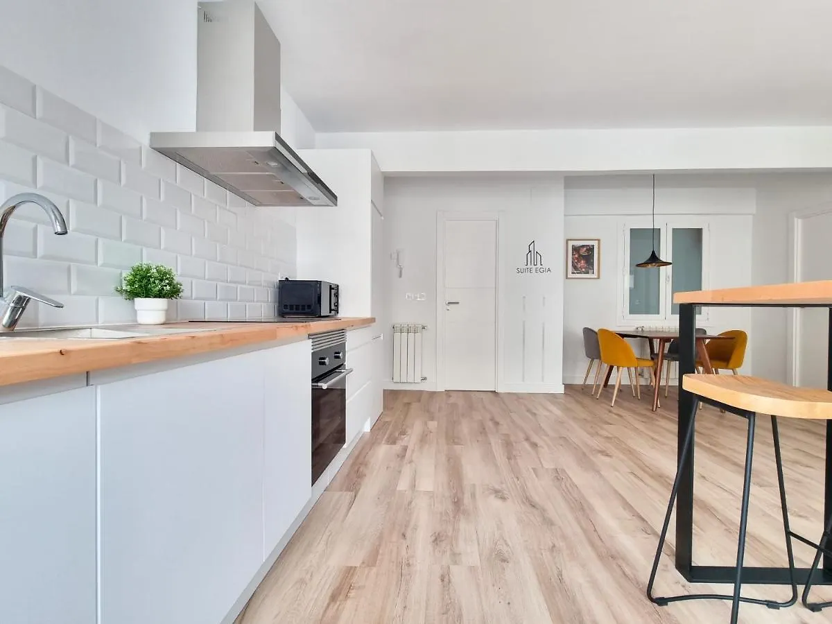 Suite Egia Apartment San Sebastian Donostia 0*,